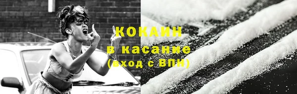 дмт Ельня
