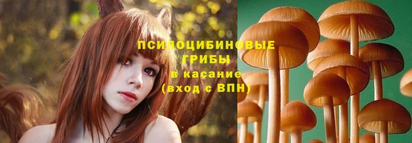скорость mdpv Елизово
