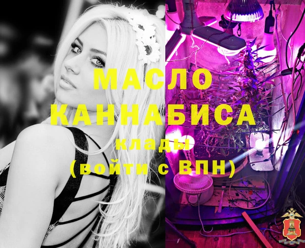 дмт Ельня