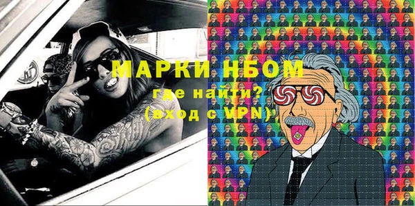дмт Ельня