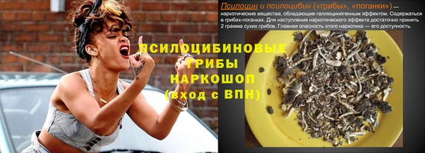 мяу мяу мука Елабуга