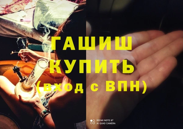 дмт Ельня